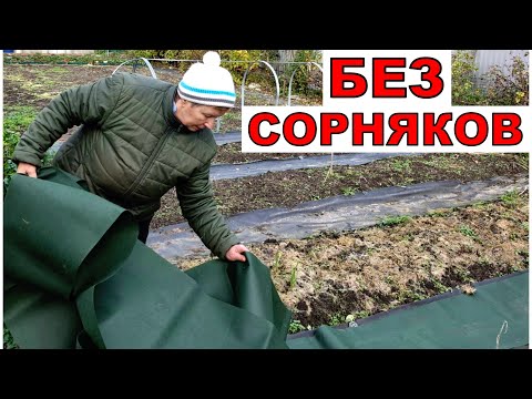 Видео: Сорняков не будет, колени не болят. Не любите Чёрный- для вас  есть Зеленый. Конусы со снежинками