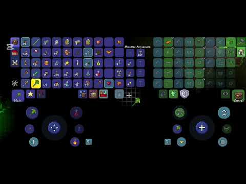 Видео: 31 октября 2025 г.