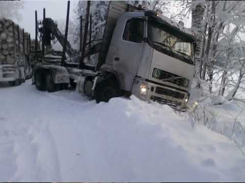 Видео: ЛЕСОВОЗЫ СТОЯТЬ-БОЯТЬСЯ , ЕГАИСТ-ЭГОИСТ