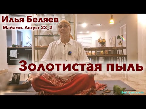 Видео: Илья Беляев ✨ Золотистая пыль (Майами. Август 23_2)