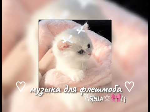 Видео: музыка для флешмоба