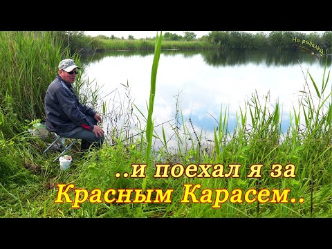 Видео: ..и поехал с поплавком я за красным карасем..#каналнарыбалку#карась#поплавок