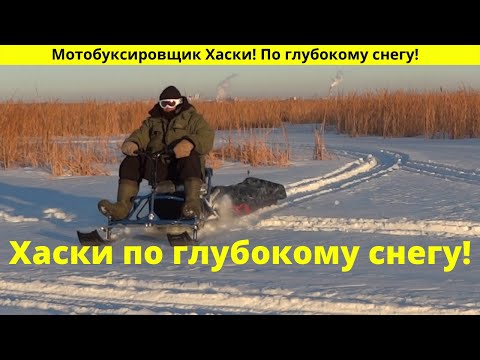 Видео: Мотобуксировщик Хаски!   По глубокому снегу!