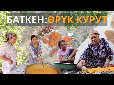 Видео: Өрүк курут даректүү тасма