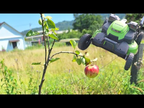 Видео: Первый урожай яблок в Курджиново! Много кошу новой зверь машиной GREENWORKS / Арстайл 2.0 /
