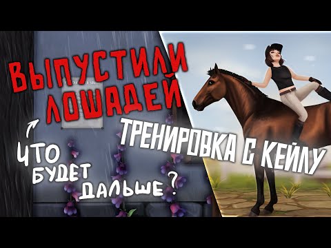 Видео: RRP VLOG | ВЫПУСТИЛИ ЛОШАДЕЙ | ТРЕНИРОВКА С КЕЙЛУ И ПЕРЕВОЗКА ВЭЯ | STAR STABLE