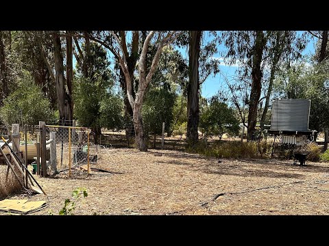 Видео: Обзор нашего поместья на юге Западной Австралии. Kin’s Domain in South West of Western Australia.