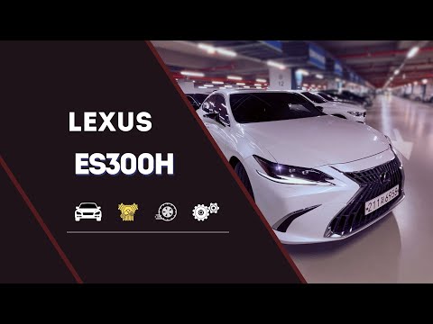 Видео: Так выглядит почти новый Lexus 2024 за отличные деньги