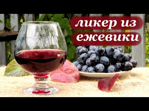 Видео: Рецепт ликера из ежевики от Алкофана