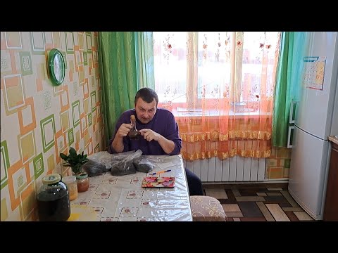 Видео: Инкубатор Восковой Моли.  Отсев ПЖВМ. Разговор на Кухне.