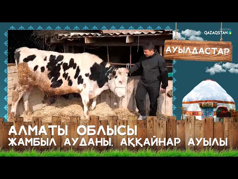 Видео: «Ауылдастар». Алматы облысы, Жамбыл ауданы, Аққайнар ауылы