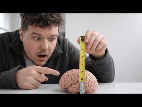 Видео: Как рилсы буквально ломают твой мозг