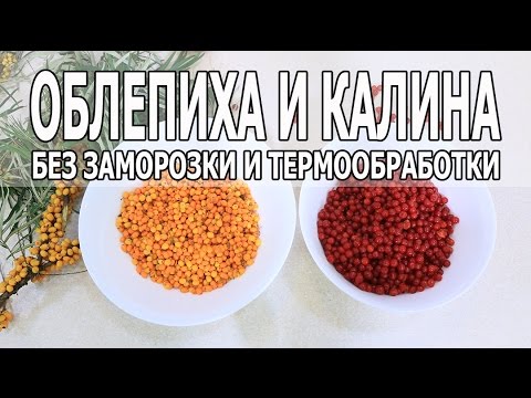 Видео: ОБЛЕПИХА И КАЛИНА: лучший рецепт без заморозки и термообработки