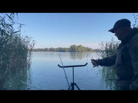 Видео: Риболовля на Дніпрову плотву