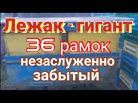 Видео: Улей лежак - гигант. Отличная зимовка и много меда.