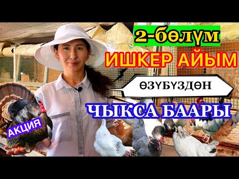 Видео: 5 баланын Энеси~Айыл жериндеги БИЗНЕС. Канаттуунун баарын ушул жерден табасыз.