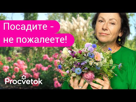 Видео: 5 ЦВЕТОВ, КОТОРЫЕ ОБЯЗАТЕЛЬНО ДОЛЖНЫ РАСТИ В КАЖДОМ САДУ!