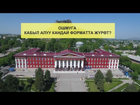 Видео: ОШМУДА КАБЫЛ АЛУУ КАНДАЙ ФОРМАТТА ЖҮРӨТ?
