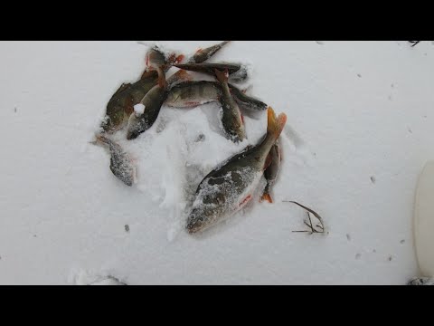 Видео: Безмотылка.  Советы бывалых.  Начало пути
