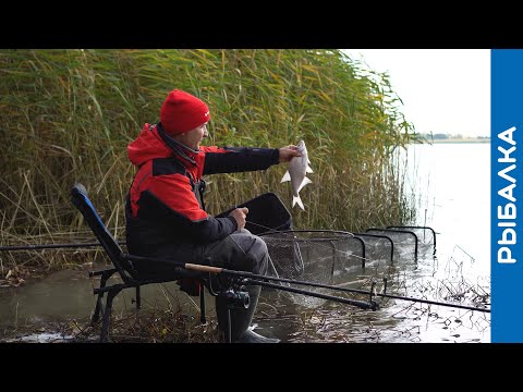 Видео: Ловля на фидер в ноябре. Напали на стаю подлещика!