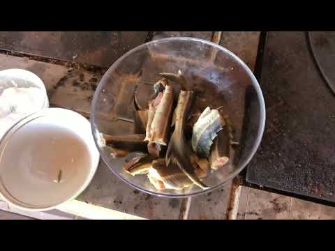 Видео: Уха из Стерляди и Судачка ! Или просто рыбная похлёбочка !