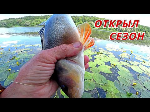 Видео: ОТВОДНОЙ ПОВОДОК и СЪЕДОБКА сделали рыбалку. ХОРОШИЙ ОКУНЬ открыл сезон спиннинга на ОКЕ.