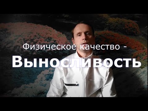 Видео: Выносливость - разбираем физическое качество