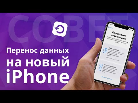 Видео: Как перенести данные с айфона на айфон? Резервная копия iPhone в iTunes и iCloud