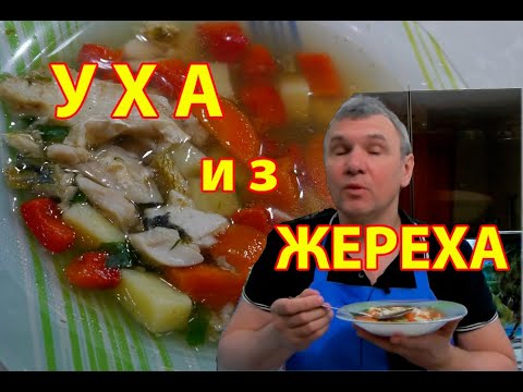 Видео: Уха из жереха - легкая, диетическая, ароматная и сытная одновременно