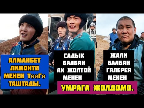 Видео: Өзүңүздөр көрүңүздөр/ Төө жана Умрага жолдомо. Ноокат/ Эмилдин Улагы.