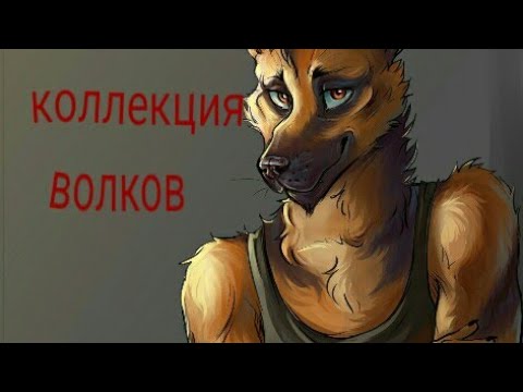 Видео: Коллекция волков