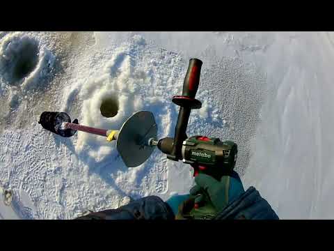 Видео: Рыбалка на Амуре!