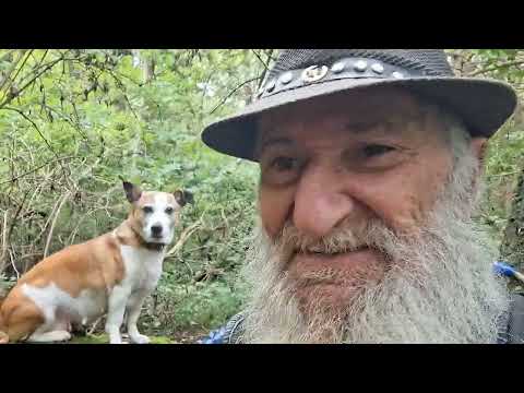 Видео: В божественный храм природы
