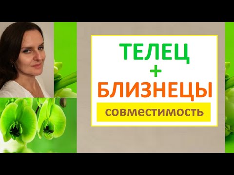 Видео: ТЕЛЕЦ + БЛИЗНЕЦЫ Совместимость - о мужчинах и женщинах
