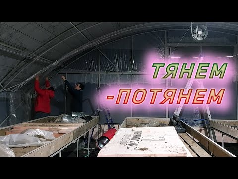 Видео: Тянем вторую пленку на теплице - дополнительная теплоизоляция