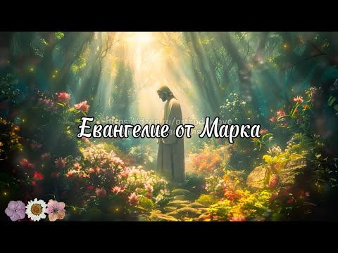 Видео: И звезды спадут с неба, и силы небесные поколеблются