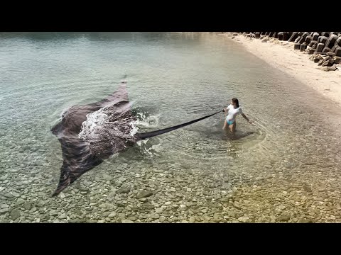 Видео: НЕВЕРОЯТНЫЕ МОМЕНТЫ, СНЯТЫЕ НА КАМЕРУ