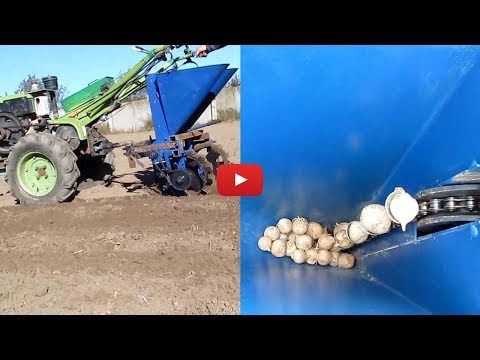 Видео: Посадка чеснока чеснокосажалкой!!!
