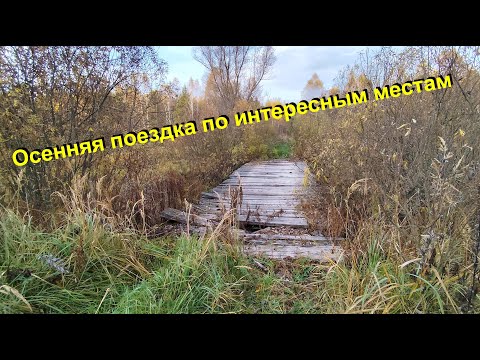 Видео: Осень. Очередная поездка по новым местам #equinox900 #deus2