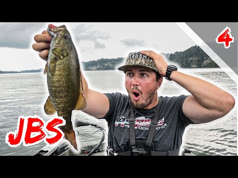 Видео: Осенние тайны озера Пиквик | Я поймал ВСЕ виды в озере! (JBS, эпизод 4)