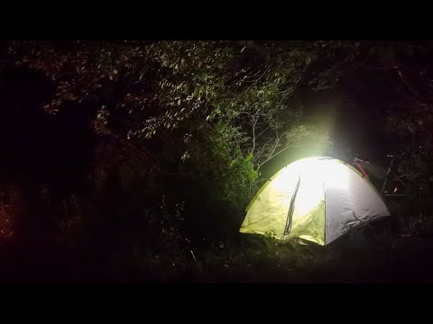 Видео: Проверка ФОТОЛОВУШЕК и Первая НОЧЁВКА в лесу CAMERA TRAPS and the First NIGHT SPEND in the forest