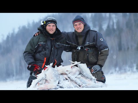 Видео: ТЯГА НЕПРЕОДОЛИМАЯ!!! ОН РАЗГИБАЕТ КРЮЧКИ О КРУПНУЮ РЫБУ!  БРАТ ПОЛУЧАЕТ АДРЕНАЛИН!