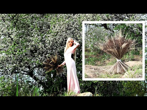 Видео: ASMR АСМР КРАСИВЫЙ БУКЕТ ИЗ СУХОЦВЕТОВ | ЗВУКИ ПРИРОДЫ ЦВЕТЕНИЕ ЯБЛОНИ