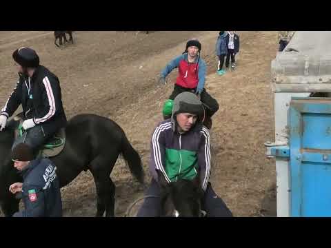 Видео: Шілдерхановтар әулеті 71 жас ұлдарымыз Санжар Мирас Жасұлан Мансұр елден бата алу көкпар 02 03 2022