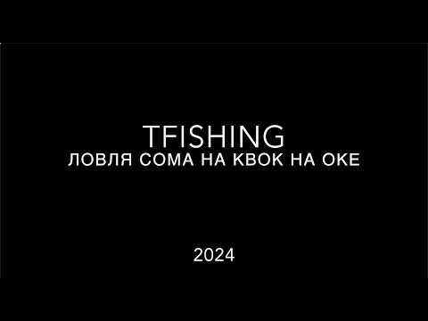 Видео: Ока. Сом на Квок в Рязани.