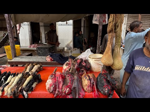 Видео: Пакистан - Самая Популярная Уличная Еда!