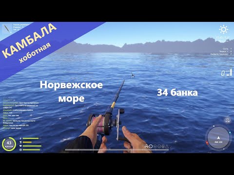 Видео: Русская рыбалка 4 - Норвежское море - Камбала хоботная: подбираю ключик