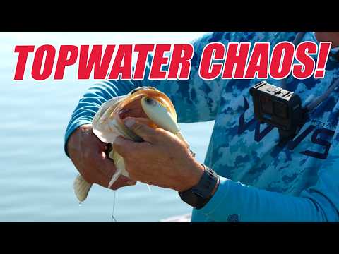 Видео: Басс УНИЧТОЖЬ НОВУЮ НАЖИМКУ НА ПОВЕРХНОСТИ ВОДЫ! Октябрьская рыбалка на поверхности воды