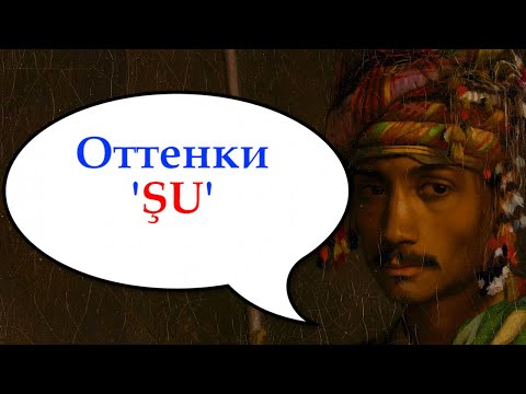 Видео: Поаккуратнее с "ŞU"!