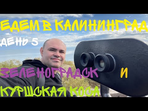 Видео: Зеленоградск и Куршская коса.  Едем в Калининград день пятый.